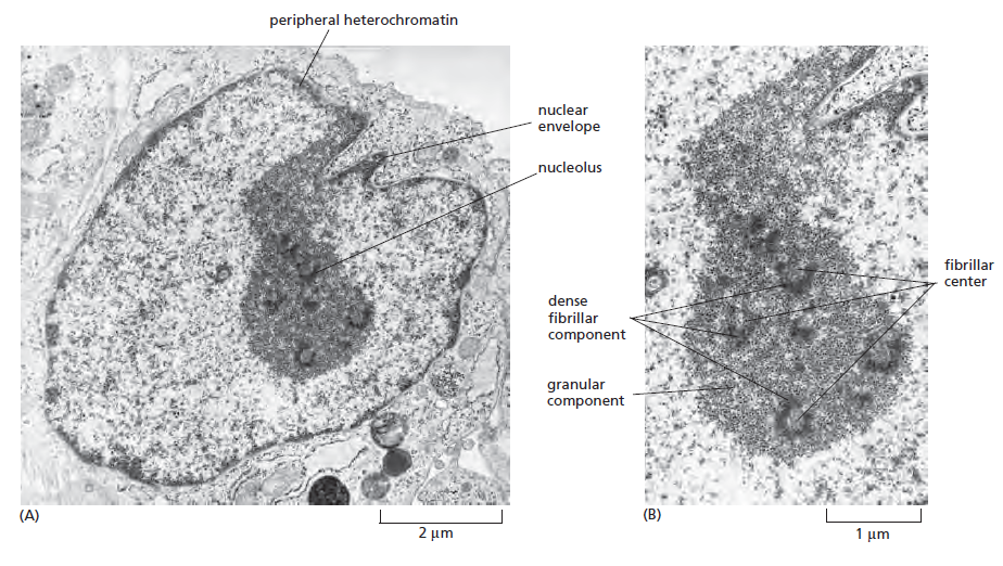 Figure 6-42.png